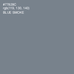 #77828C - Blue Smoke Color Image